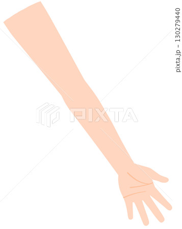 左腕　掌 130279440