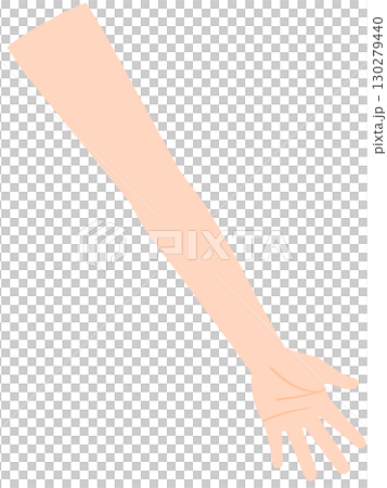 左腕　掌 130279440