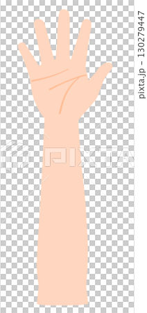 右腕　肘から下 130279447