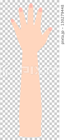 左腕　肘から下 130279448