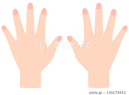 両手　手の甲 130279452