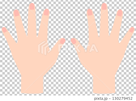 両手　手の甲 130279452