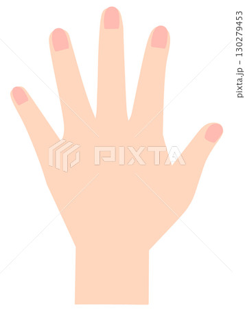 左手　手の甲 130279453