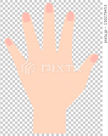 左手　手の甲 130279453