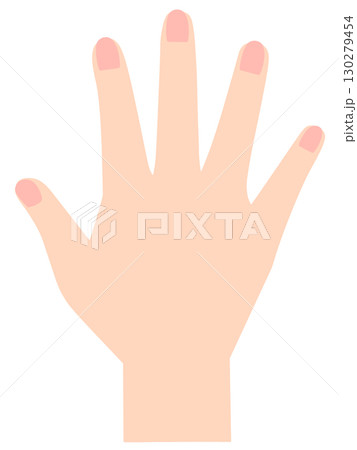 右手　手の甲 130279454