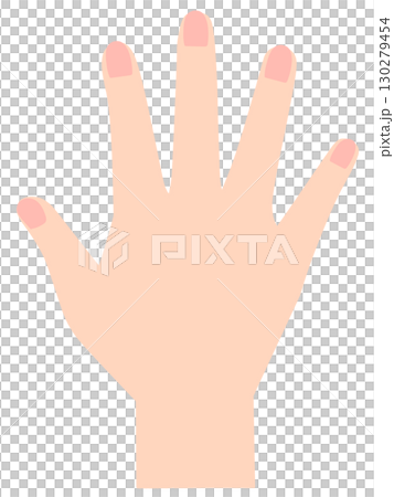 右手　手の甲 130279454