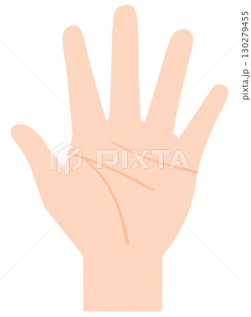 左手　掌 130279455