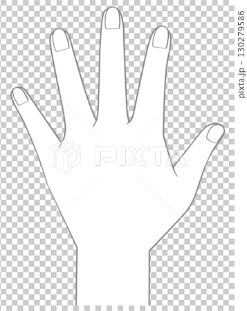 左手：手背 130279586