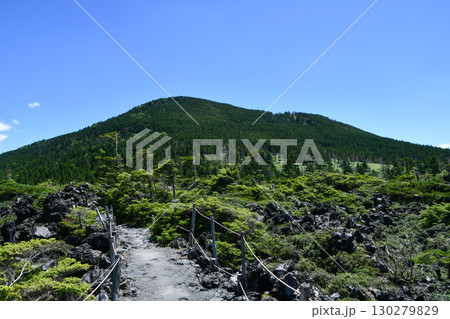 北八ヶ岳 坪庭　Tsuboniwa Plateau at Mt. Kita-Yatsugatake 130279829