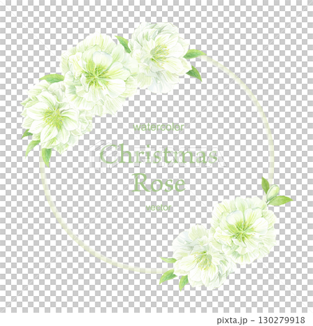 水彩畫白色聖誕玫瑰雙圓框 130279918