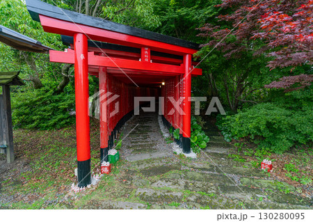 【鹿児島県】ガラスの鳥居で有名な神徳稲荷神社・千本鳥居 130280095