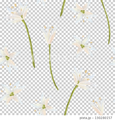 Simple white wildflowers watercolor seamless pattern. Spring field flowers with green stems repeat background. Delicate floral illustration in minimalist style Simple white wildflowers watercolor seamless pattern. Spring field flowers with green stems repeat background. Delicate floral illustration in minimalist style 130280157