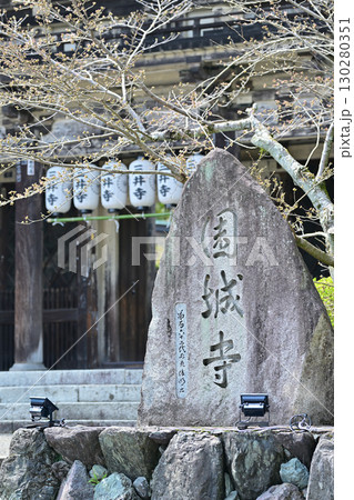 滋賀県　三井寺（園城寺)2024年春 130280351