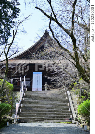 滋賀県　三井寺（園城寺)2024年春 130280381