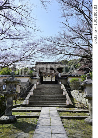 滋賀県　三井寺（園城寺)2024年春 130280383