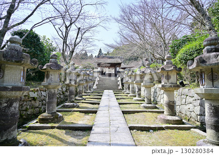滋賀県 三井寺(園城寺)2024年春 滋賀県 三井寺(園城寺)2024年春 130280384