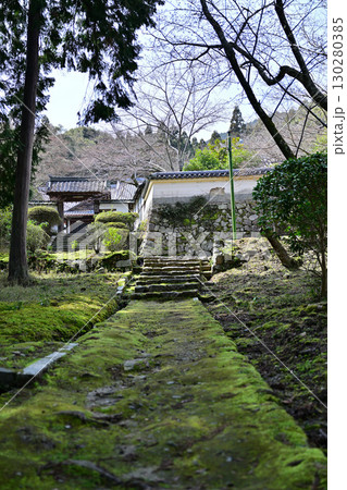 滋賀県 三井寺(園城寺)2024年春 滋賀県 三井寺(園城寺)2024年春 130280385