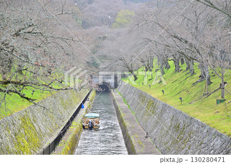 琵琶湖疎水2024 130280471