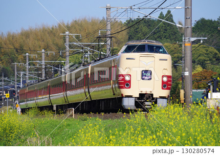 黄色い菜の花が満開の山陰本線を旧国鉄色の381系特急やくも号が駆け抜ける光景 黄色い菜の花が満開の山陰本線を旧国鉄色の381系特急やくも号が駆け抜ける光景 130280574