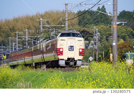 黄色い菜の花が満開の山陰本線を旧国鉄色の381系特急やくも号が駆け抜ける光景 130280575