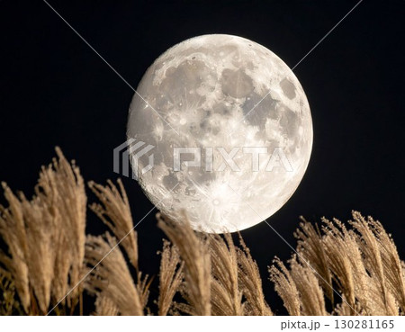 夜空に輝く中秋の名月と風に揺れるススキの穂 130281165