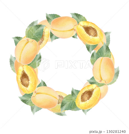 This watercolor apricot wreath is hand drawn and consists of an apricot, half an apricot and leaves. Isolated on white background. Suitable for food design and printing. 130281240
