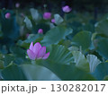 蓮の花のある風景 130282017