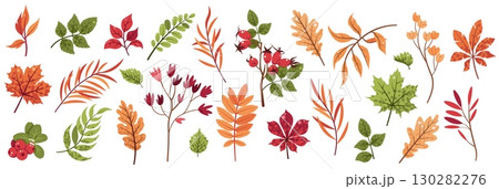 Autumn Leaves and Twigs Flat Vector Set. Maple, Oak, Chestnut, Rowan Foliage. Botanical Illustration for Seasonal Stickers, Greeting Cards, Posters, Banners. Ideal for Fall Decor, Print Projects Autumn Leaves and Twigs Flat Vector Set. Maple, Oak, Chestnut, Rowan Foliage. Botanical Illustration for Seasonal Stickers, Greeting Cards, Posters, Banners. Ideal for Fall Decor, Print Projects 130282276