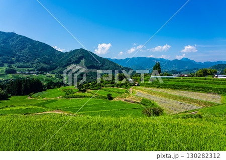 新緑の川登棚田群 栃又棚田【宮崎県西臼杵郡高千穂町】 130282312