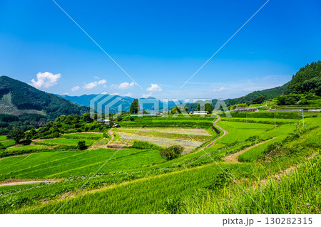 新緑の川登棚田群 栃又棚田【宮崎県西臼杵郡高千穂町】 新緑の川登棚田群 栃又棚田【宮崎県西臼杵郡高千穂町】 130282315