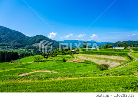 新緑の川登棚田群 栃又棚田【宮崎県西臼杵郡高千穂町】 130282318
