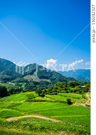 新緑の川登棚田群 栃又棚田【宮崎県西臼杵郡高千穂町】 130282327