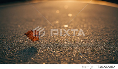 Lonely autumn leaf rests on textured ground. A lonely symbol of seasons end 130282862