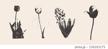 Photocopy tulip and primula flowers collage set. Cutout grunge photocopies floral elements for mixed media design. Pieces of retro magazine halftone wildflowers. Vector illustration isolated 130283175