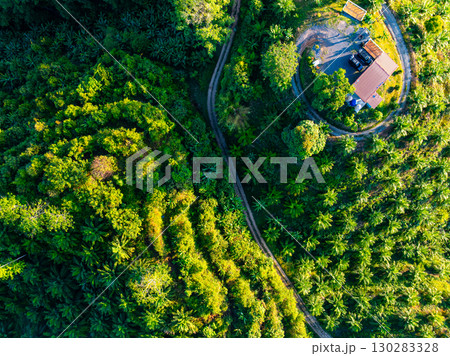 High angle view mountains rainforest green background High angle view mountains rainforest green background 130283328