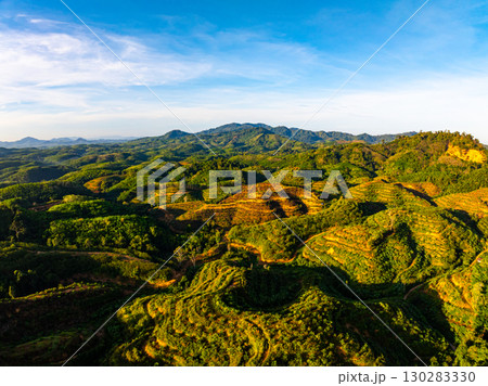 High angle view mountains rainforest green background High angle view mountains rainforest green background 130283330