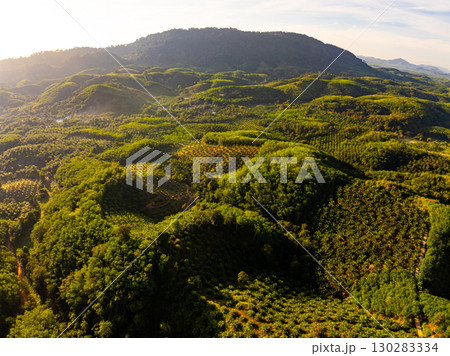 High angle view mountains rainforest green background 130283334