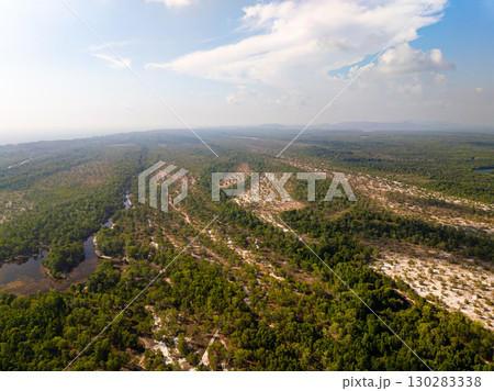 White samet or cajuput trees in wetlands forest at koh prathong island,Phang nga Thailand,Greenery botanic forest,Drone wide angle lens White samet or cajuput trees in wetlands forest at koh prathong island,Phang nga Thailand,Greenery botanic forest,Drone wide angle lens 130283338