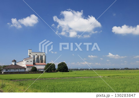 JA鴻巣市農協のカントリーエレベーター 130283847