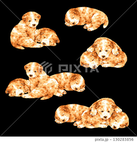 手描きで描いた可愛い犬のイラスト素材, 130283856