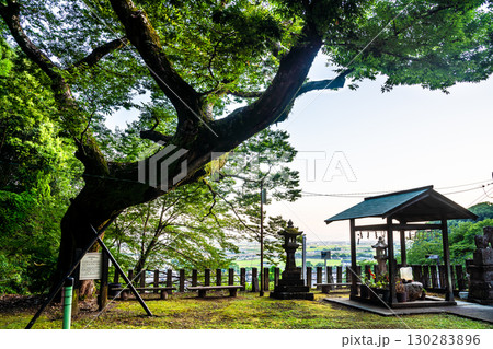 日奈久温泉神社【熊本県八代市日奈久】 130283896