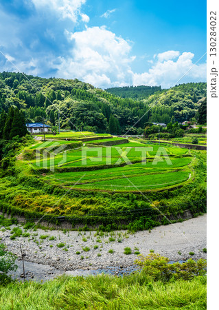 新緑の豊富の棚田【熊本県下益城郡美里町】 新緑の豊富の棚田【熊本県下益城郡美里町】 130284022
