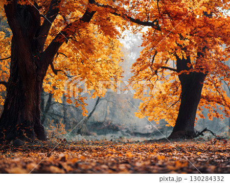 Autumn background, wallpaper with falling leaves of bright red and orange color. Neural network AI generated art 130284332