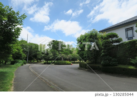 さいたま市岩槻文化公園の風景 さいたま市岩槻文化公園の風景 130285044