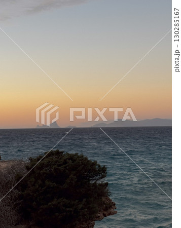 Coastal tree silhouette at sunset in Ibiza 130285167