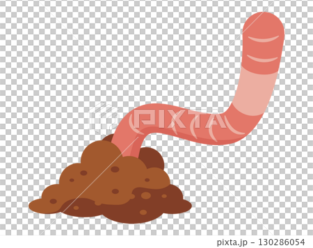 ミミズのイラスト 130286054