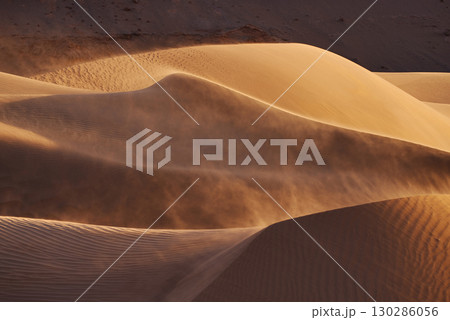 Sandstorm on Golden Sand Dunes at Sunset 130286056