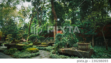 Chengdu, Sichuan, China. Garden Area Of Wuhou Memorial Temple. Many Ornamental Bonsai Tree. Penjing Also Known As Penzai. Ancient Chinese Art Of Depicting Artistically Formed Trees. Comfortable 130286093