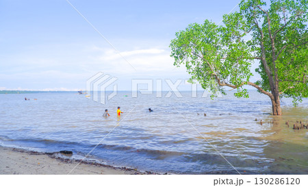 Children Playing in Tropical Beach Water Near Mangrove Tree 130286120