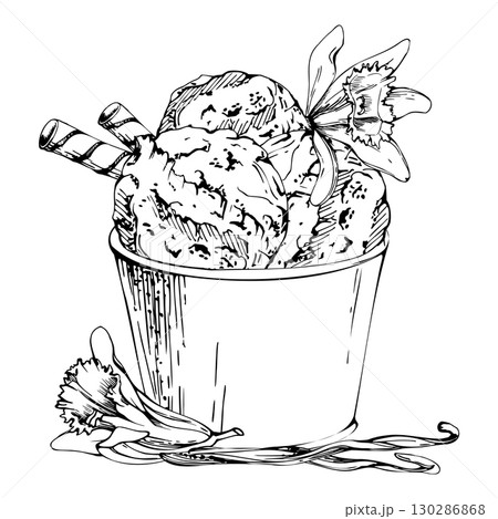 Vanilla ice cream gelato scoop in craft paper cup with waffle rolls, orchid flowers, seed pods. graphic illustration hand drawn in vector ink. Frozen dessert branding, natural flavor tag, cafe decor Vanilla ice cream gelato scoop in craft paper cup with waffle rolls, orchid flowers, seed pods. graphic illustration hand drawn in vector ink. Frozen dessert branding, natural flavor tag, cafe decor 130286868